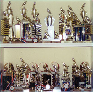 Fonti Red Factor awards and trophies